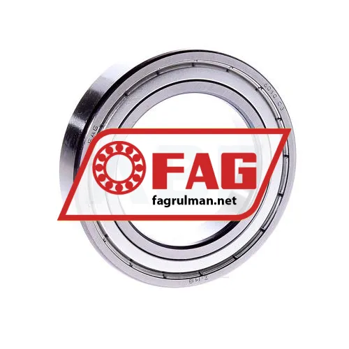 FAG 6010-2ZR-C3