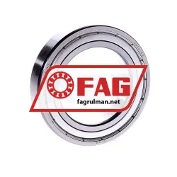 FAG 6010-2ZR-C3