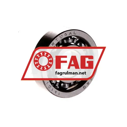 FAG 16101