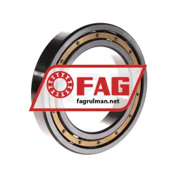 FAG 6018-M-C4 rulman resim 2