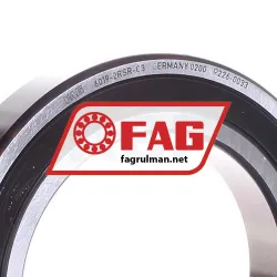 FAG 6019-2RSR-C3 rulman resim 2