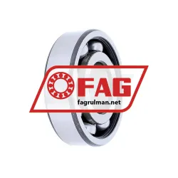 FAG 6306ZR