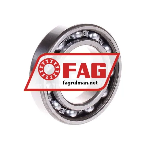 FAG 6007RSR-C3