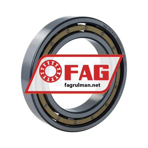 FAG 6016-M-C4