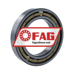 FAG 6016-M-C4