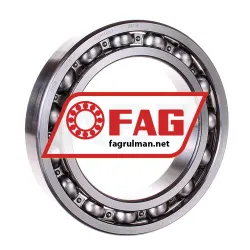 FAG 6019-C3
