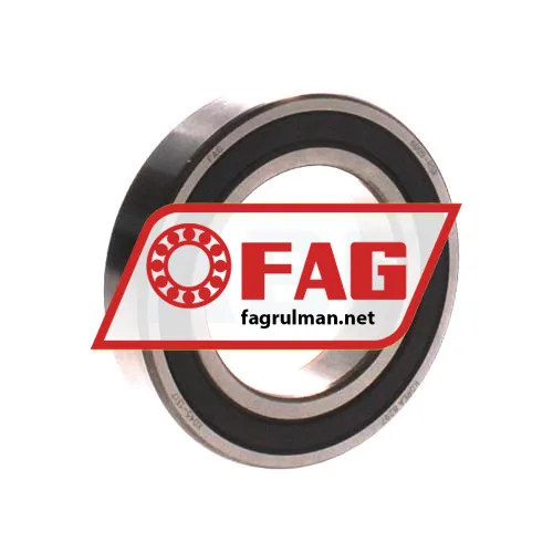 FAG 6009RSR