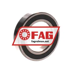FAG 6009RSR