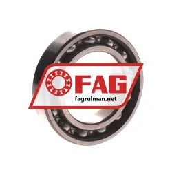 FAG 6009RSR rulman resim 2