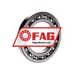 FAG 16011-C3