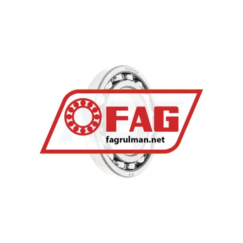 FAG 16009-C3
