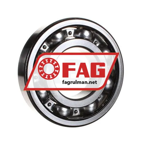 FAG 6312