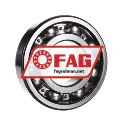 FAG 6312