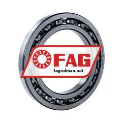 FAG 16021-C5