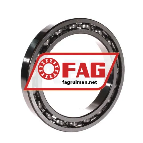 FAG 61921