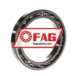 FAG 61921