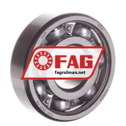 FAG 6304