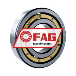 FAG 6319-M-P6-C4