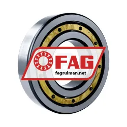 FAG 6319-M-P6-C4 rulman resim 2
