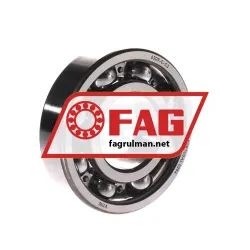 FAG 6309-C-C3
