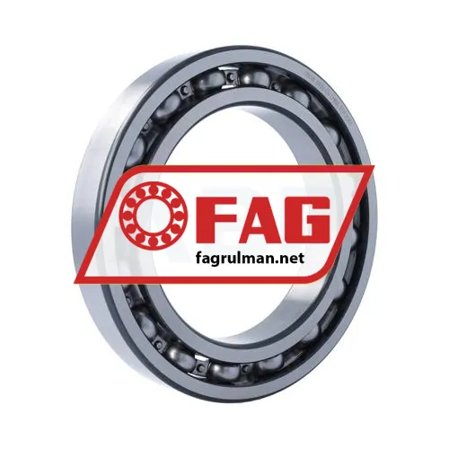 FAG 6030-C4