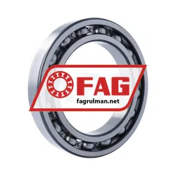 FAG 6030-C4