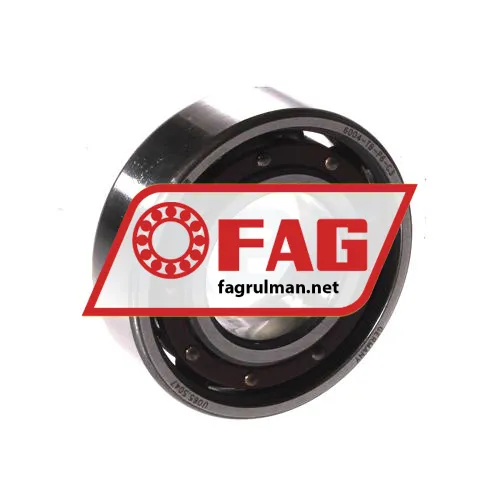 FAG 6004-TB-P6-C3