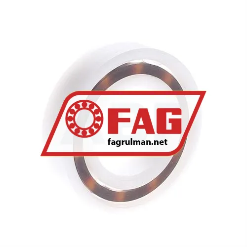 FAG 6005POM ürün fotoğrafı 2