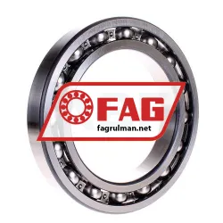 FAG 6030-C3