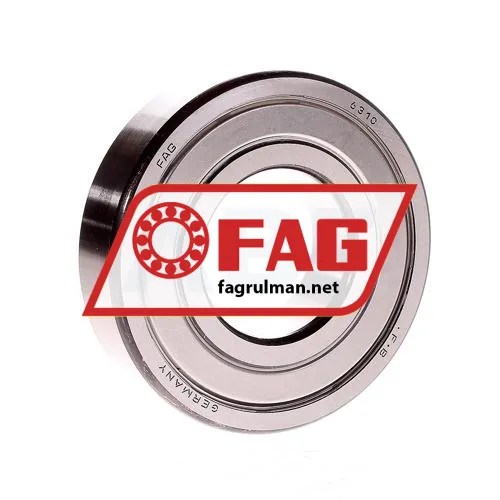 FAG 6310ZR