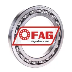 FAG 16020-C4