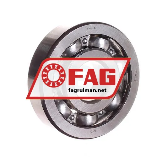 FAG 6406