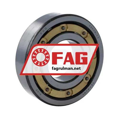 FAG 6309M-C3