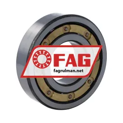 FAG 6309M-C3 rulman resim 2
