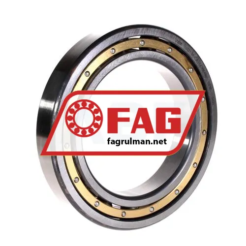 FAG 6021M-C3