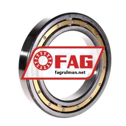FAG 6021M-C3