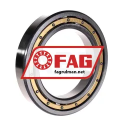 FAG 6021M-C3 rulman resim 2