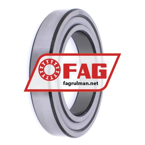 FAG 6018-2ZR