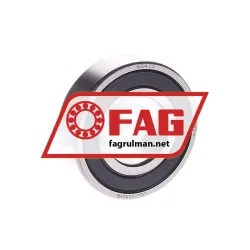 FAG 6004-2RSR-C3