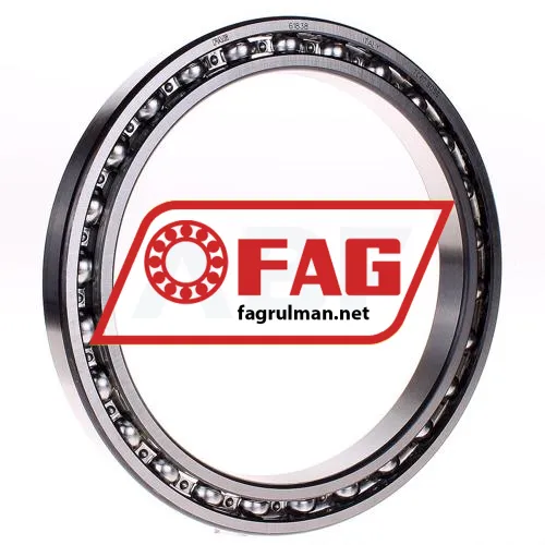 FAG 61838