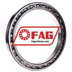 FAG 61838