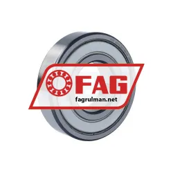 FAG 6311-C-2Z-L100-C3