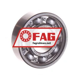 FAG 6001-C>V