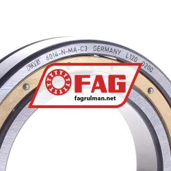 FAG 6014-N-MA-C3 rulman resim 3