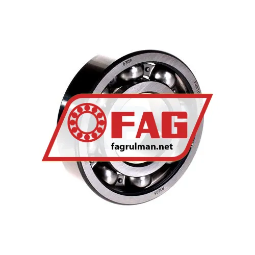 FAG 6309