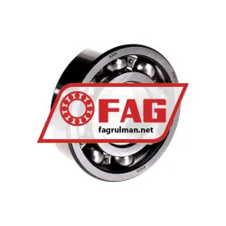 FAG 6309