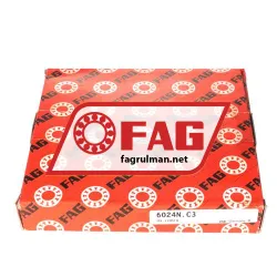 FAG 6024-C3 rulman resim 4