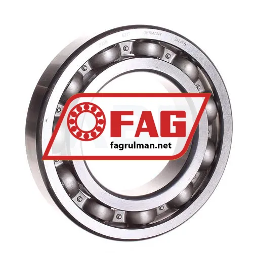 FAG 6217