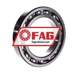 FAG 6026