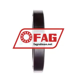 FAG 6024 rulman resim 3